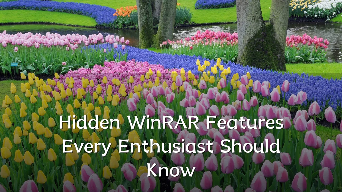 Hidden WinRAR Features Every Enthusiast Should Know