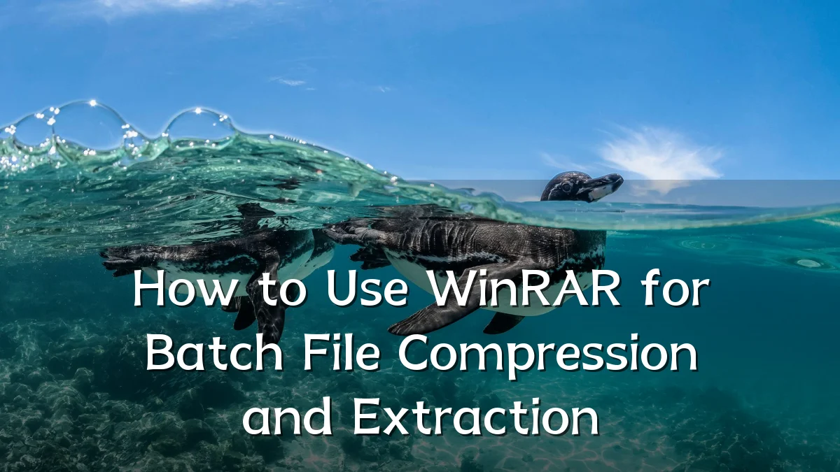 How to Use WinRAR for Batch File Compression and Extraction