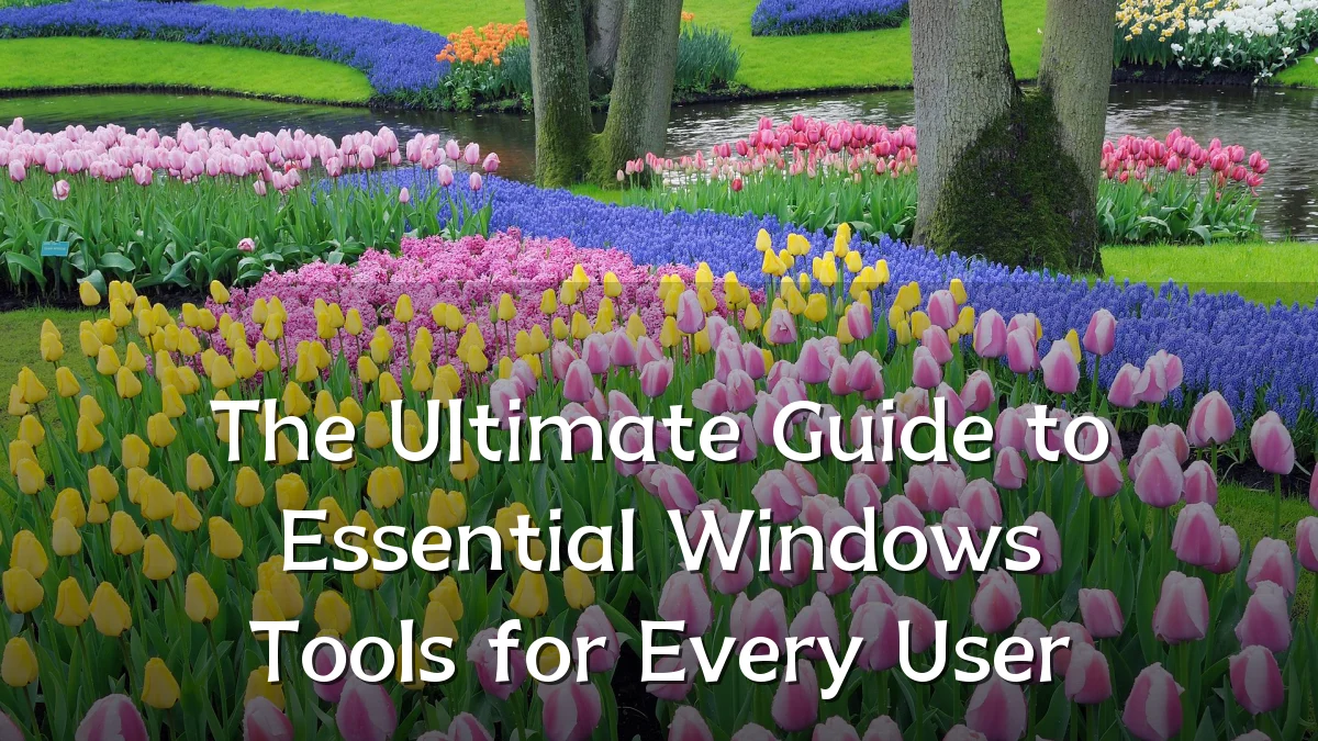 The Ultimate Guide to Essential Windows Tools for Every User