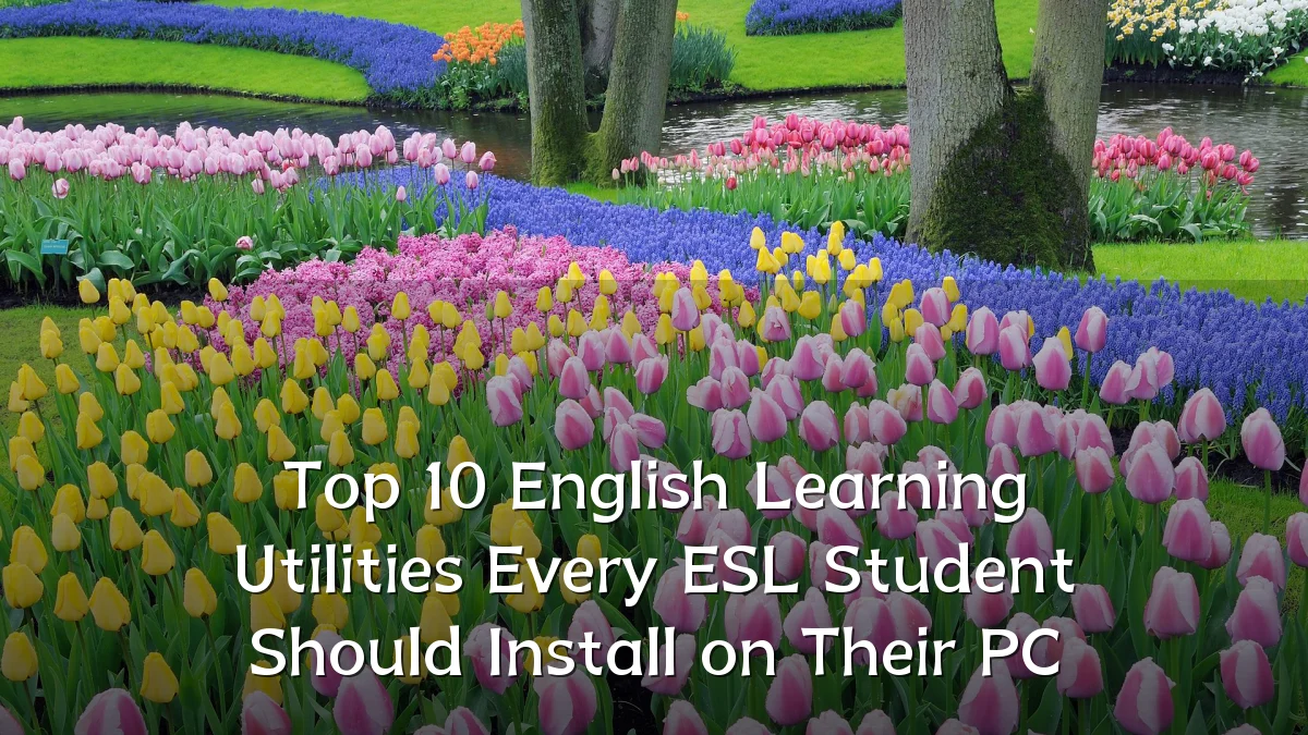 Top 10 English Learning Utilities Every ESL Student Should Install on Their PC