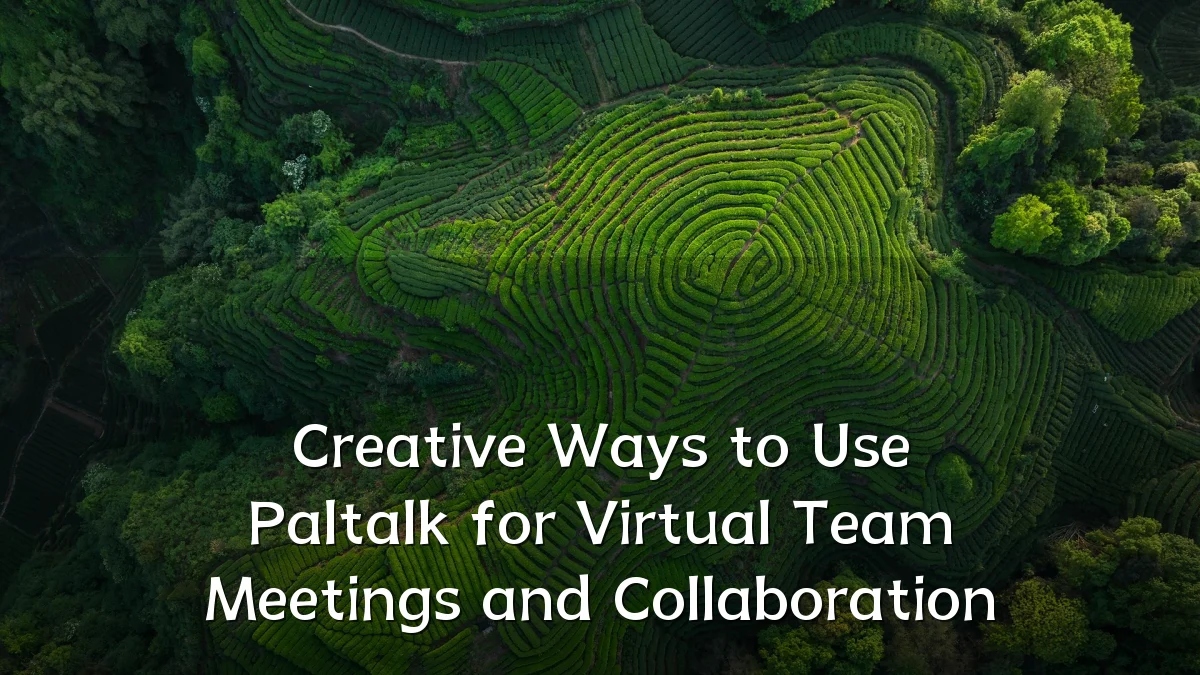Creative Ways to Use Paltalk for Virtual Team Meetings and Collaboration
