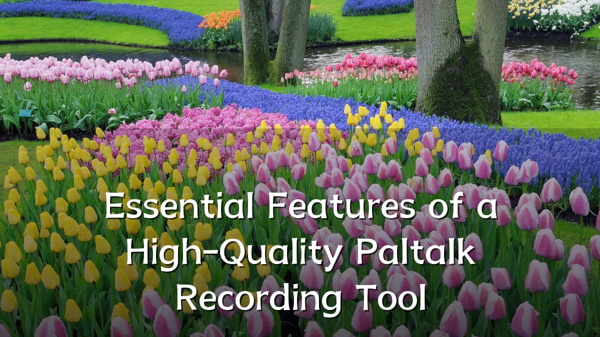 Essential Features of a High-Quality Paltalk Recording Tool