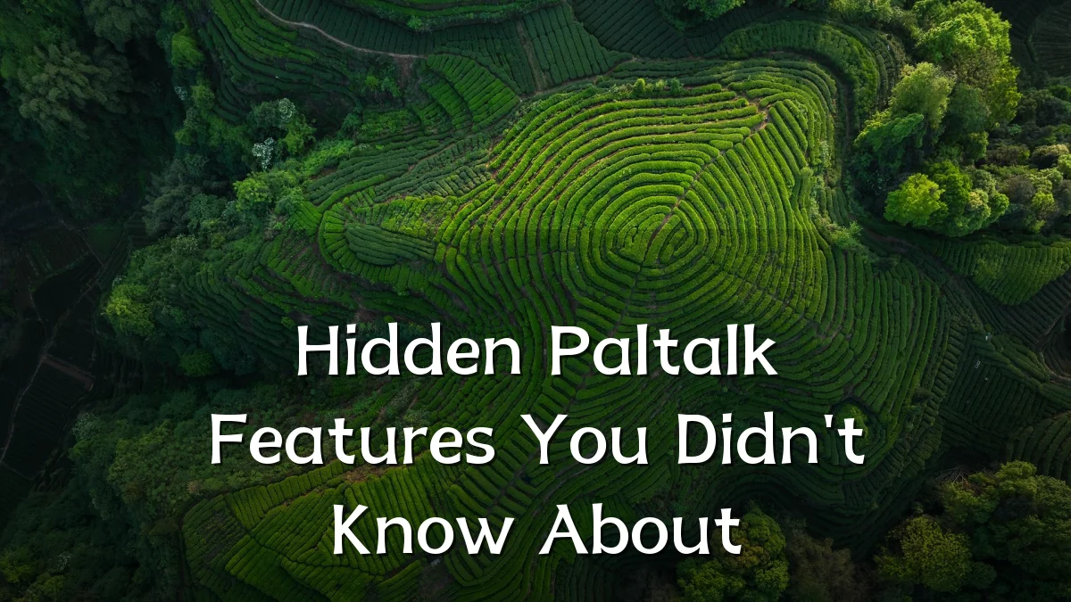 Hidden Paltalk Features You Didn't Know About