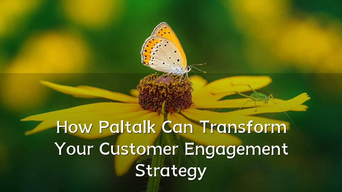 How Paltalk Can Transform Your Customer Engagement Strategy