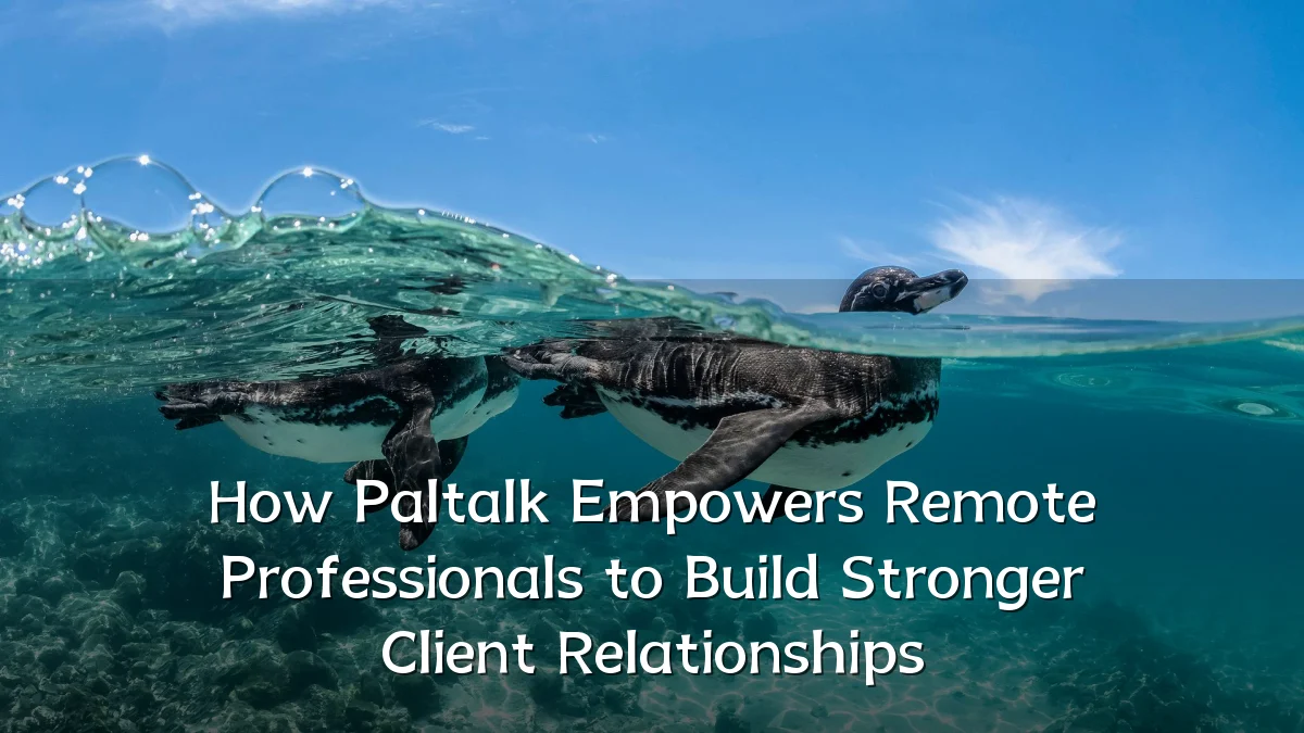 How Paltalk Empowers Remote Professionals to Build Stronger Client Relationships
