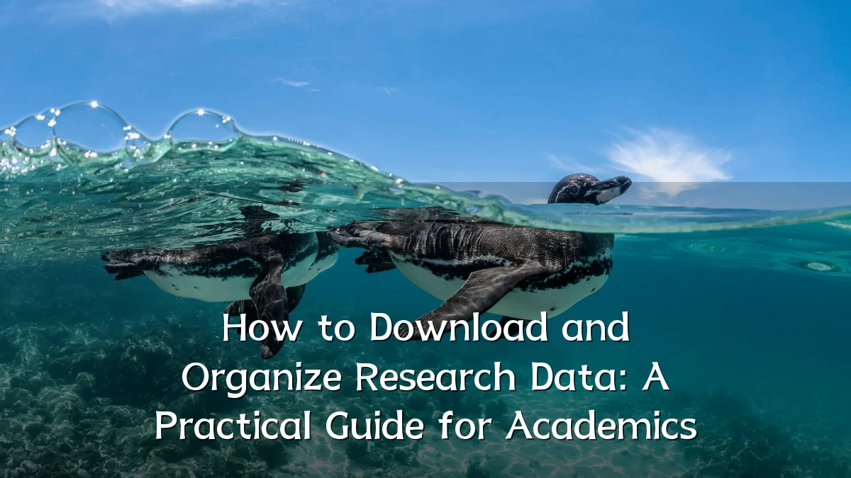 How to Download and Organize Research Data: A Practical Guide for Academics
