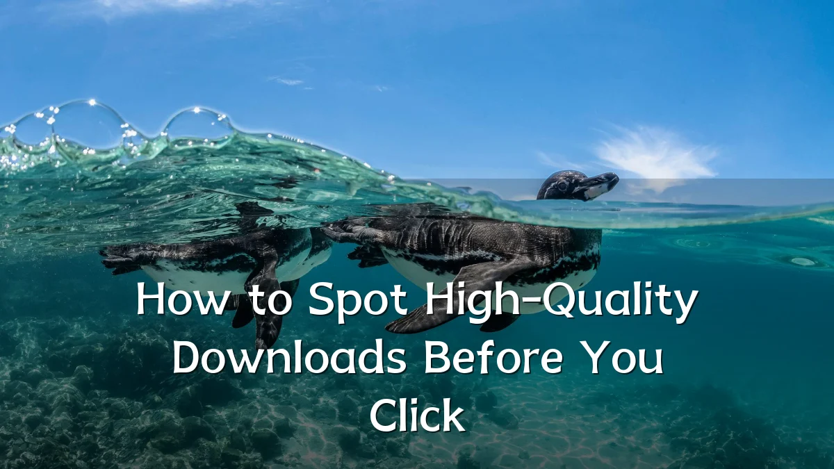 How to Spot High-Quality Downloads Before You Click