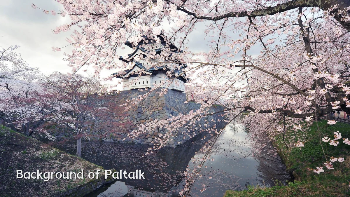Background of Paltalk