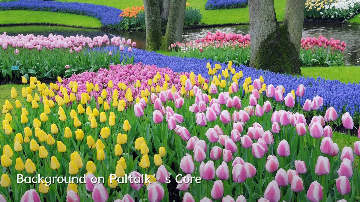 Background on Paltalk’s Core