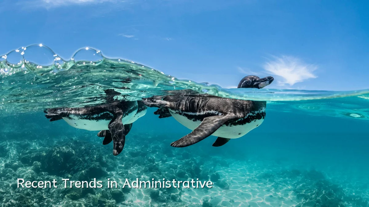 Recent Trends in Administrative