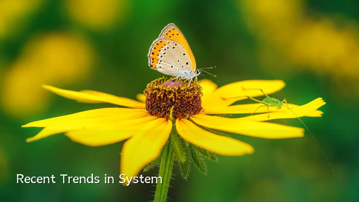 Recent Trends in System