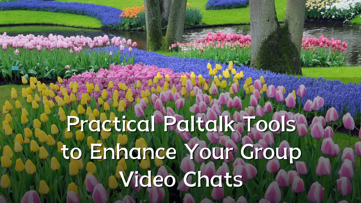 Practical Paltalk Tools to Enhance Your Group Video Chats