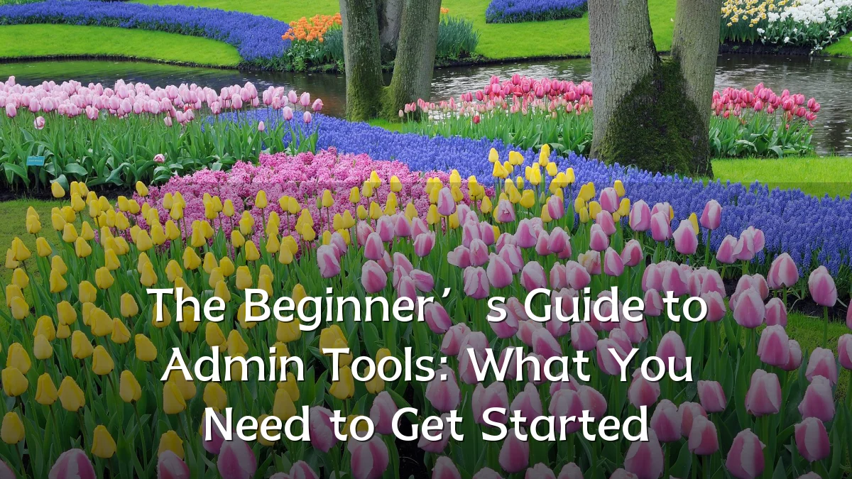 The Beginner’s Guide to Admin Tools: What You Need to Get Started