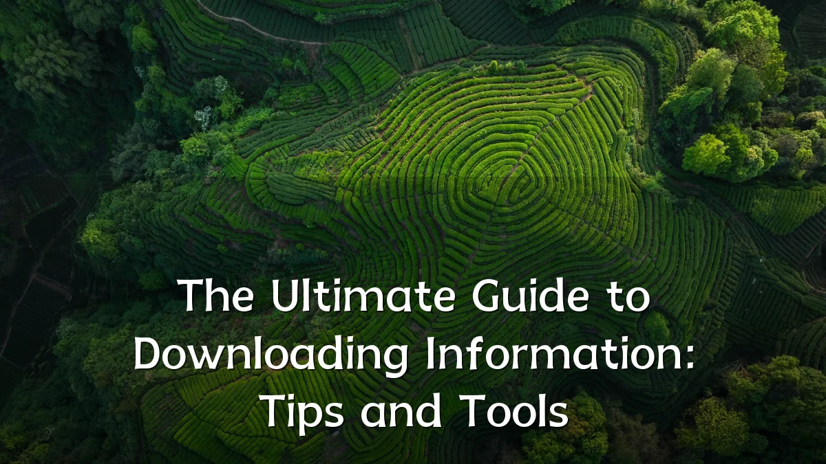 The Ultimate Guide to Downloading Information: Tips and Tools