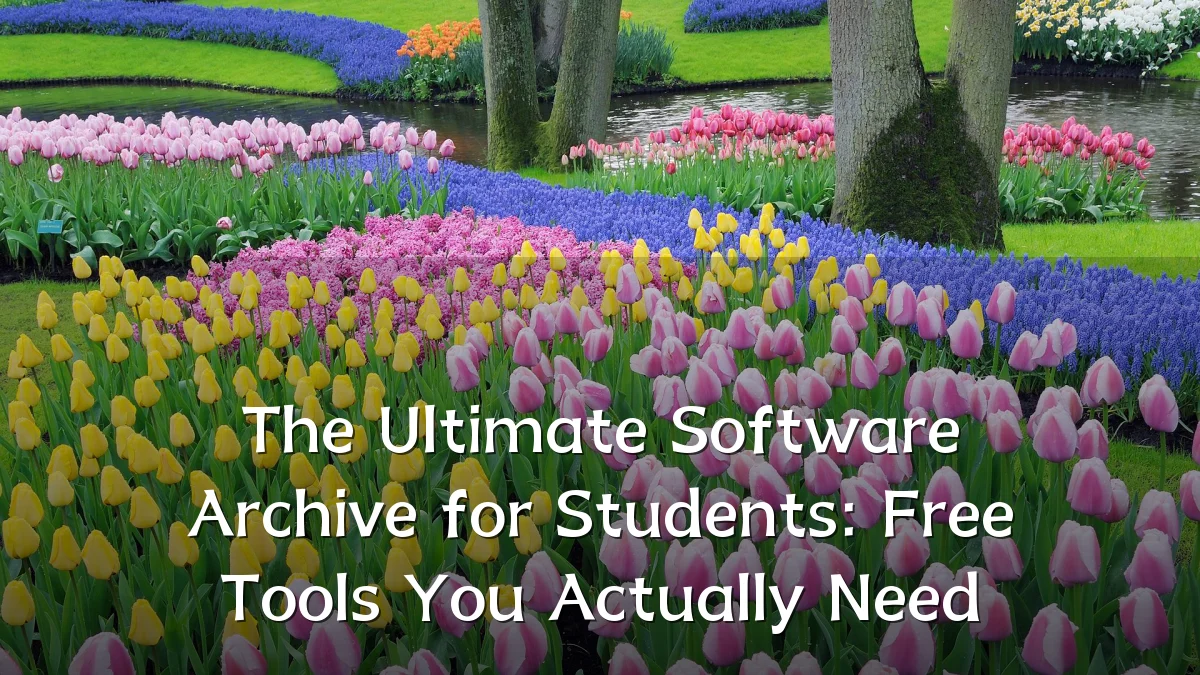 The Ultimate Software Archive for Students: Free Tools You Actually Need