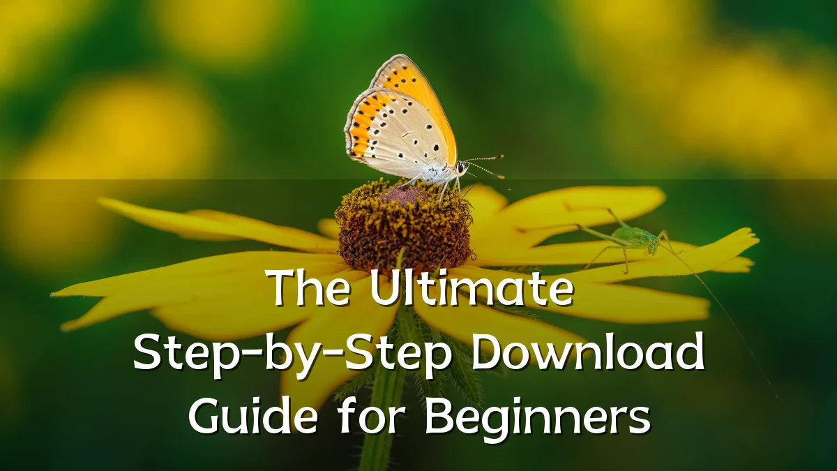 The Ultimate Step-by-Step Download Guide for Beginners