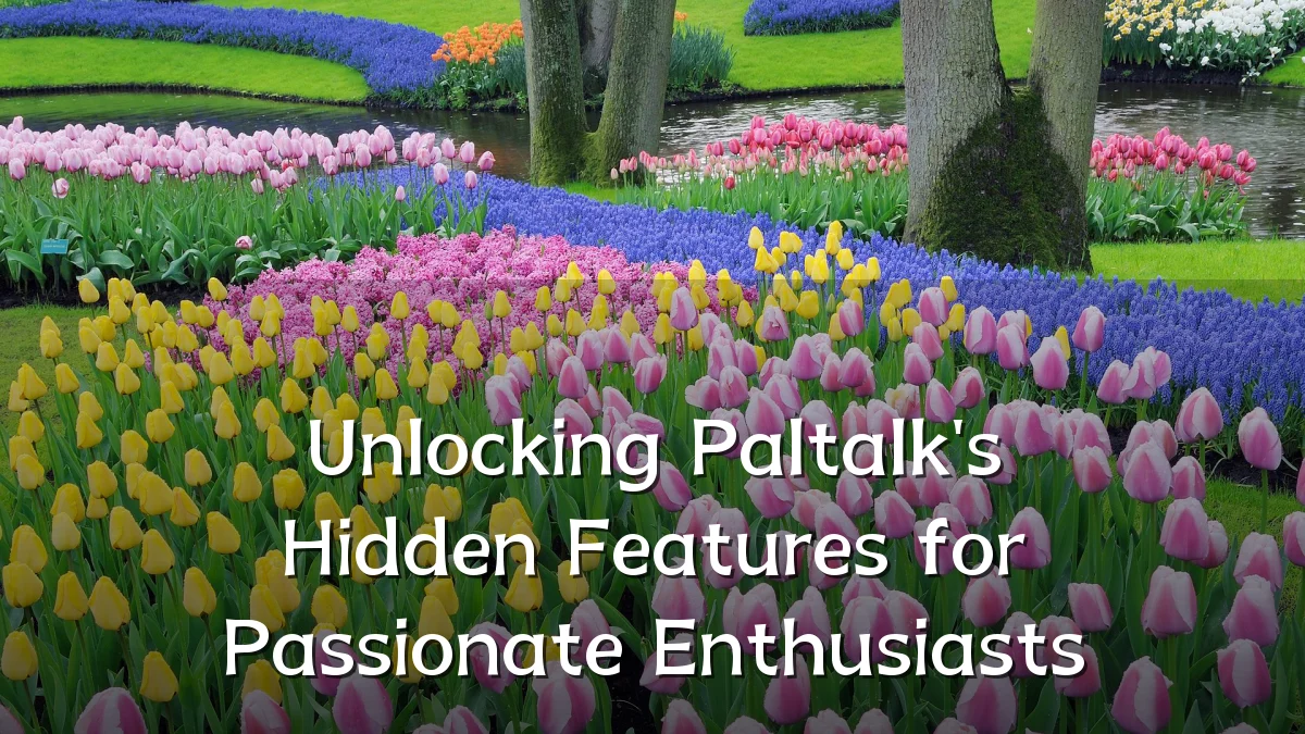 Unlocking Paltalk's Hidden Features for Passionate Enthusiasts