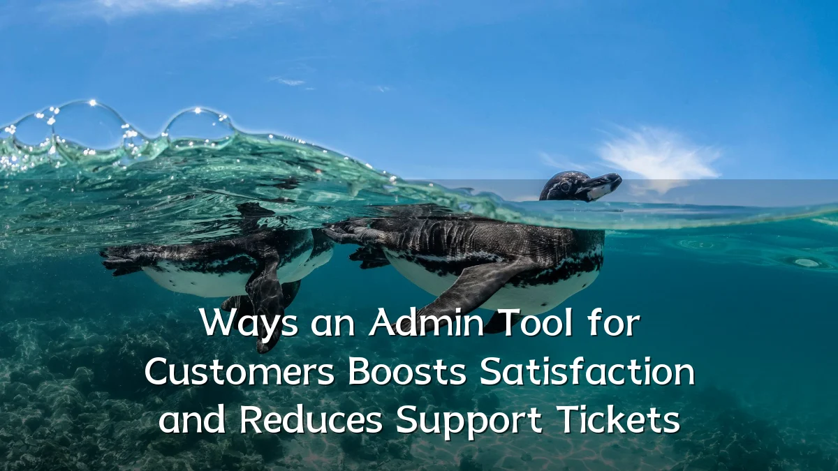 Ways an Admin Tool for Customers Boosts Satisfaction and Reduces Support Tickets
