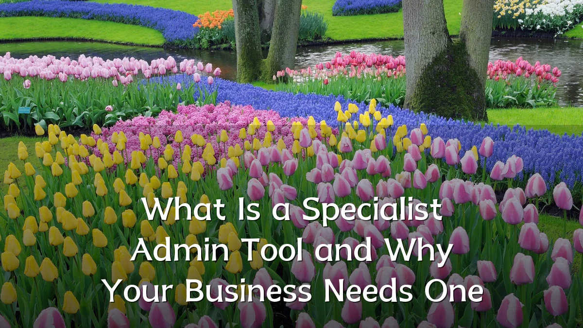 What Is a Specialist Admin Tool and Why Your Business Needs One
