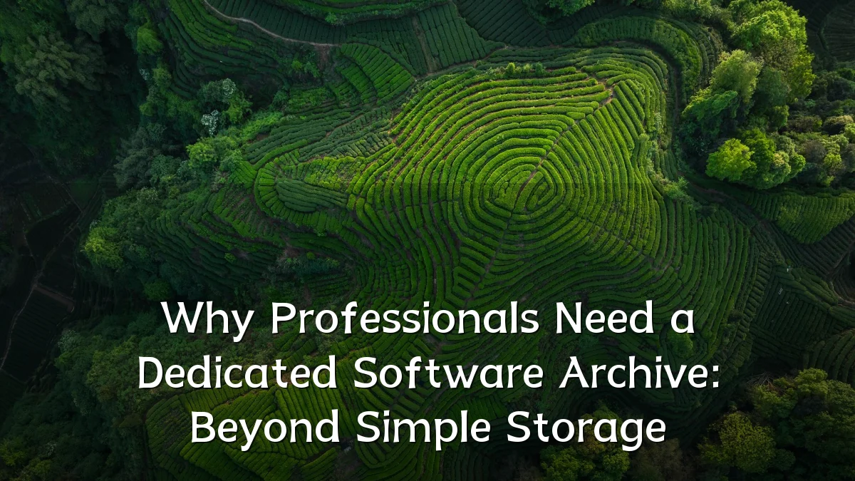 Why Professionals Need a Dedicated Software Archive: Beyond Simple Storage