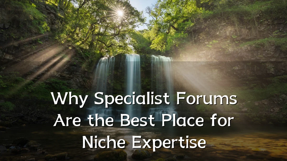 Why Specialist Forums Are the Best Place for Niche Expertise