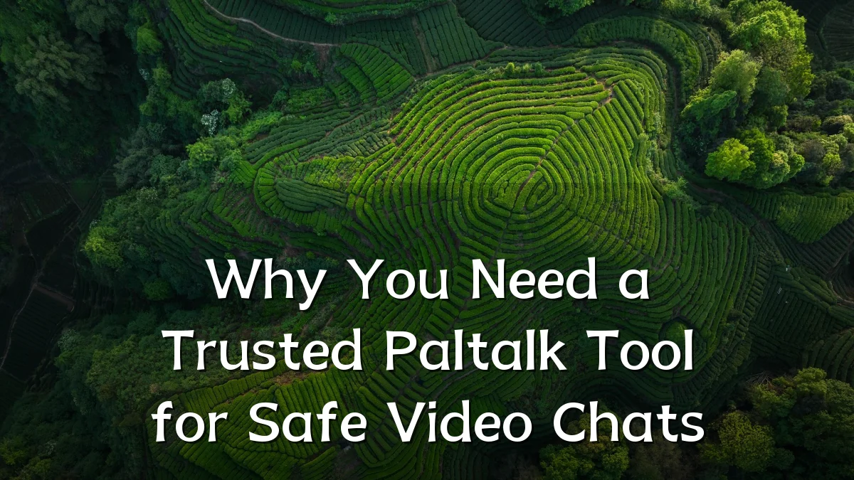 Why You Need a Trusted Paltalk Tool for Safe Video Chats