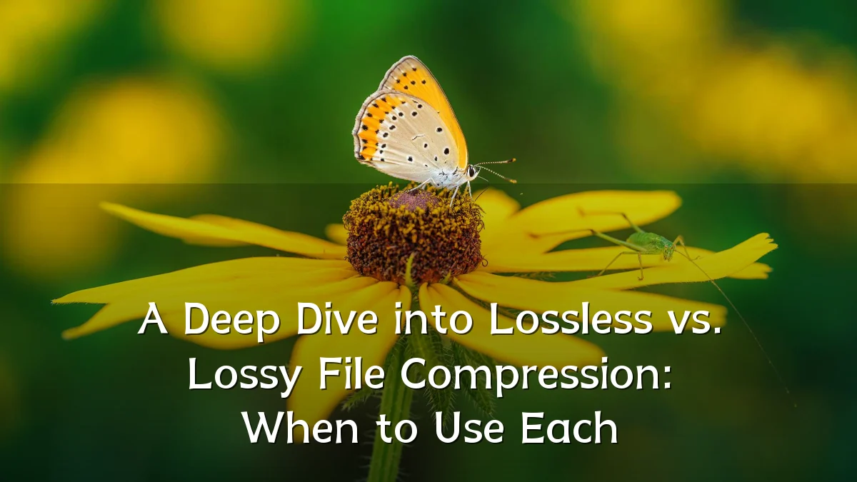 A Deep Dive into Lossless vs. Lossy File Compression: When to Use Each
