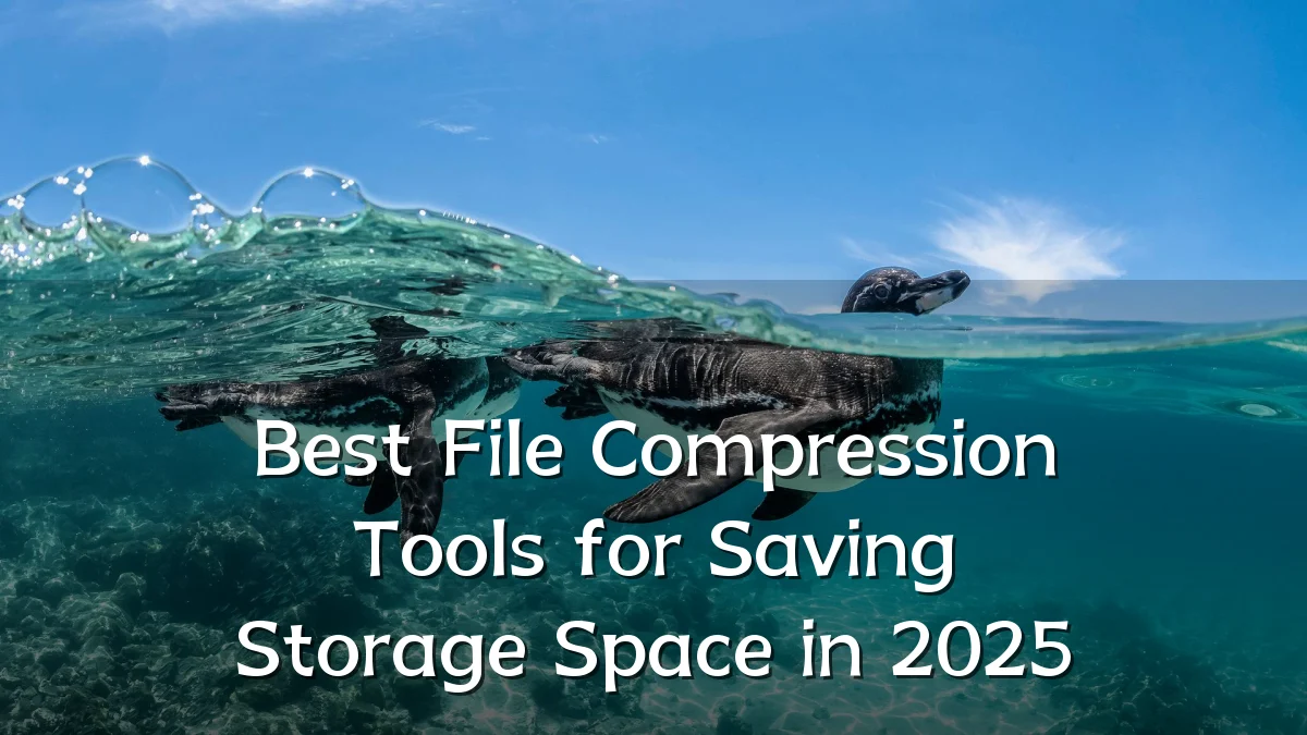 Best File Compression Tools for Saving Storage Space in 2025