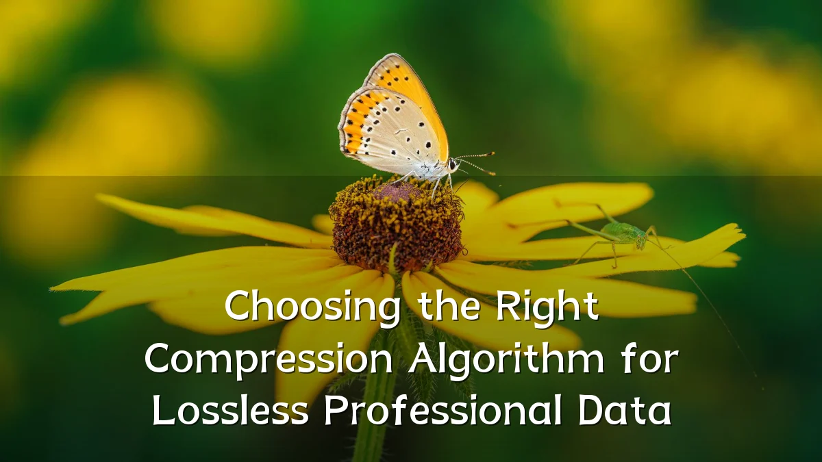Choosing the Right Compression Algorithm for Lossless Professional Data