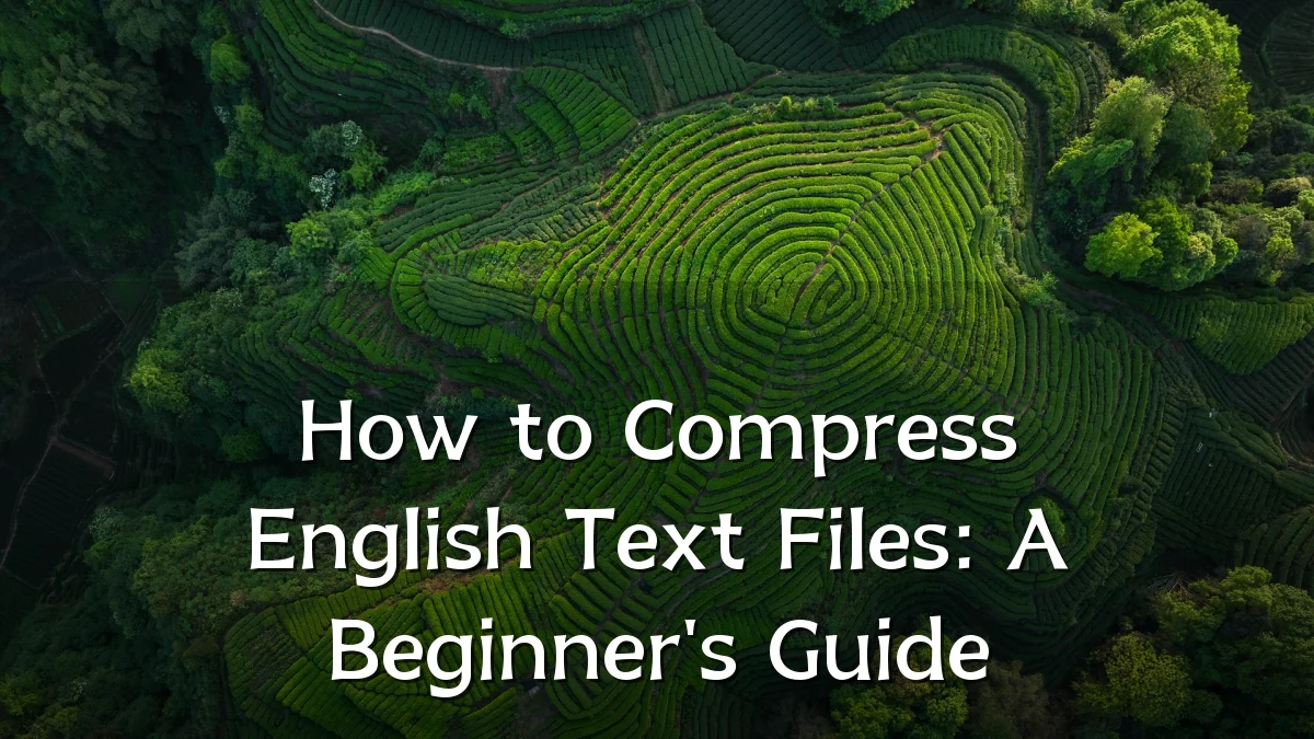 How to Compress English Text Files: A Beginner's Guide