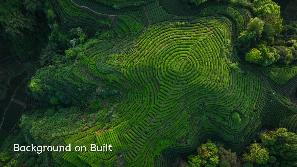 Background on Built