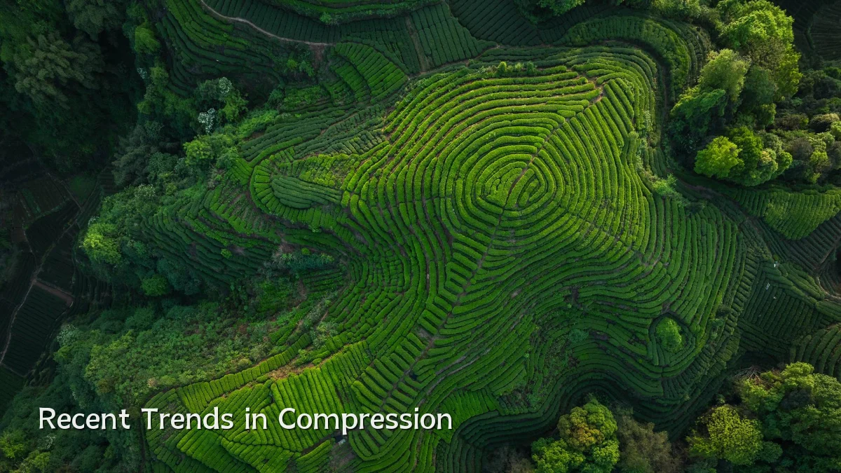 Recent Trends in Compression