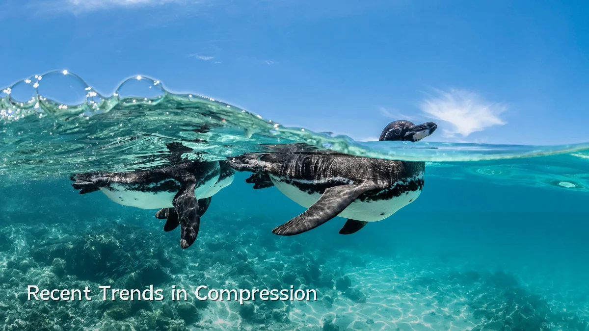 Recent Trends in Compression
