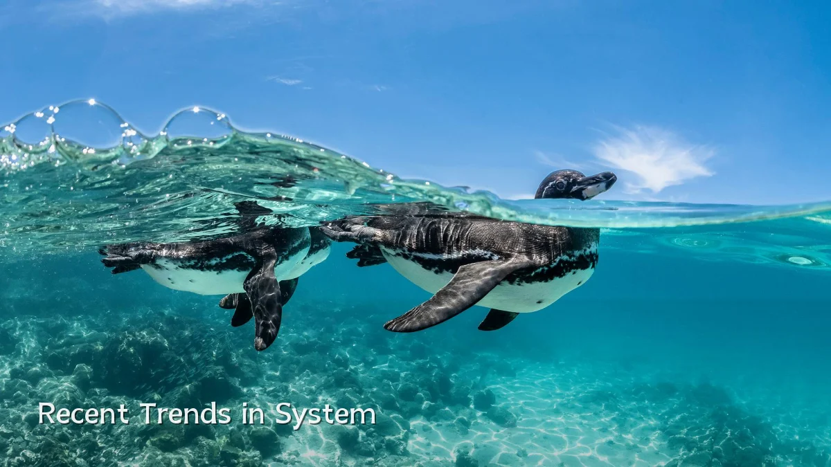 Recent Trends in System
