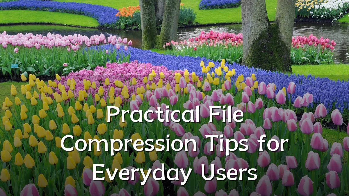 Practical File Compression Tips for Everyday Users