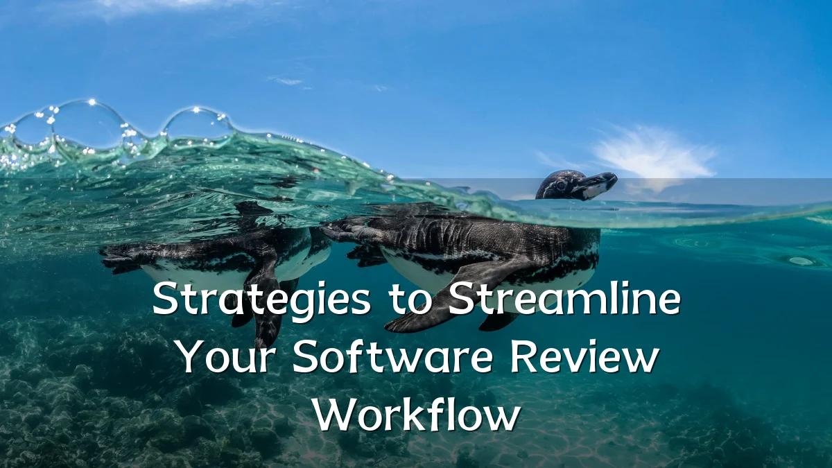Strategies to Streamline Your Software Review Workflow