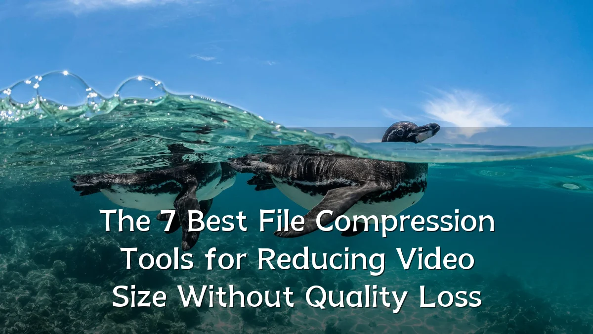 The 7 Best File Compression Tools for Reducing Video Size Without Quality Loss