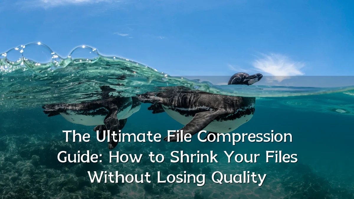The Ultimate File Compression Guide: How to Shrink Your Files Without Losing Quality