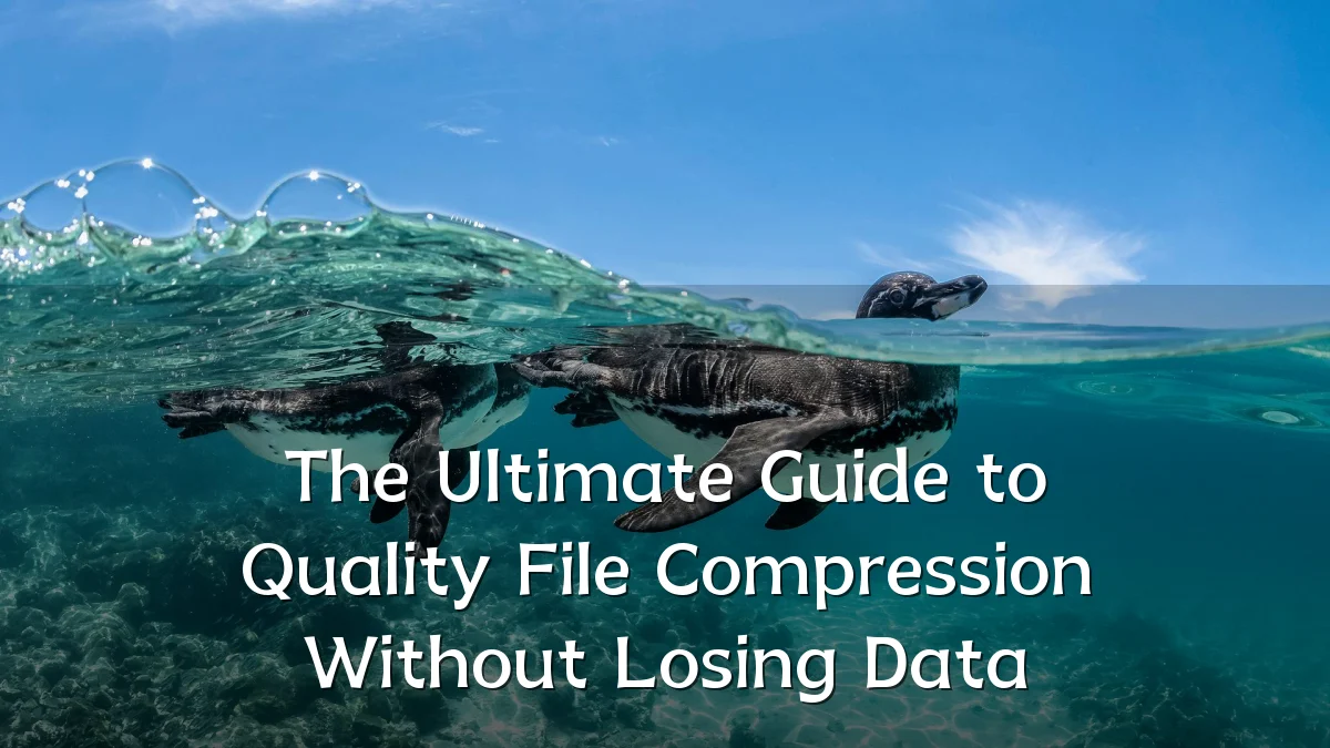 The Ultimate Guide to Quality File Compression Without Losing Data